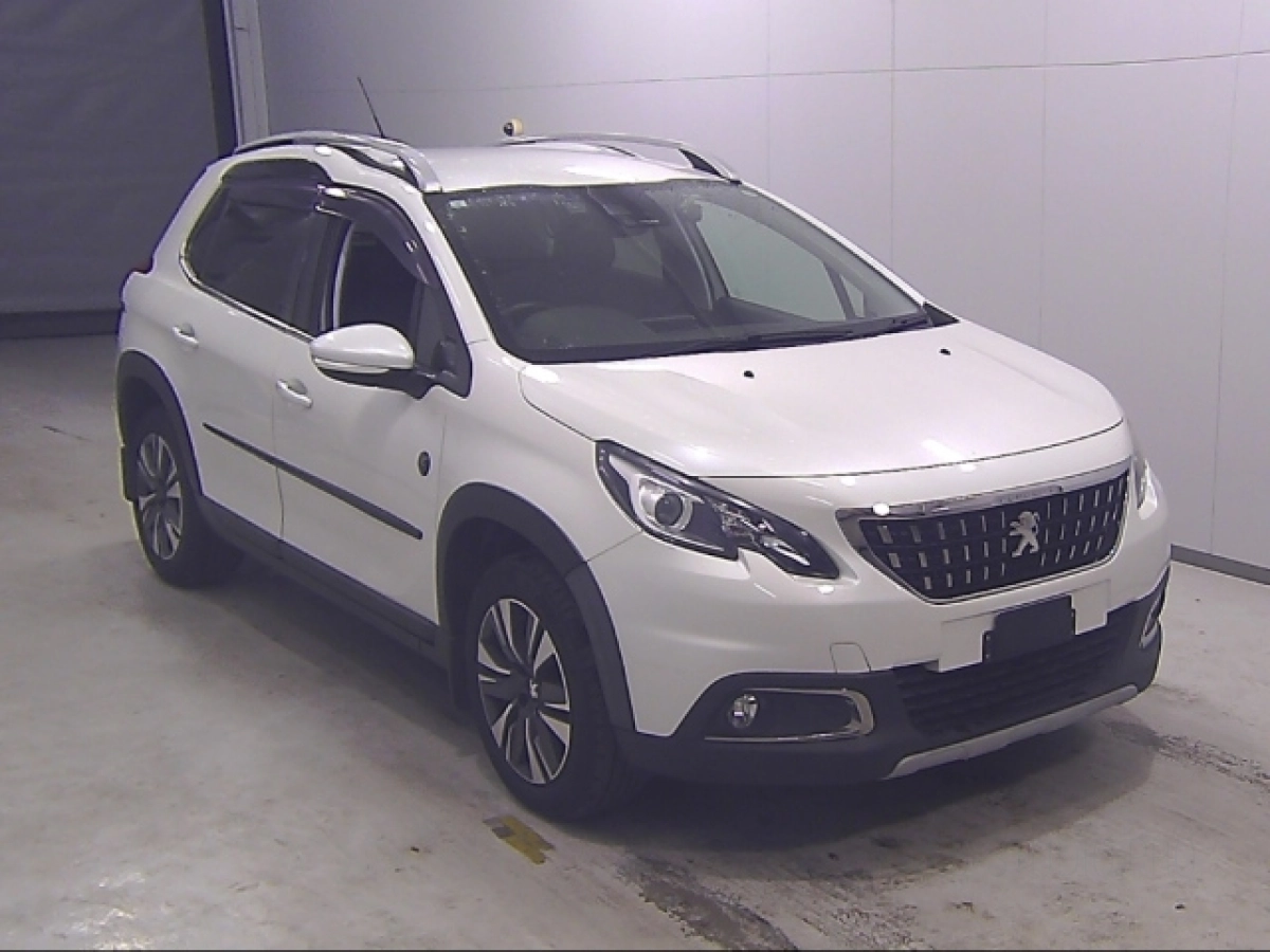 PEUGEOT 2008 A94HN01 2019