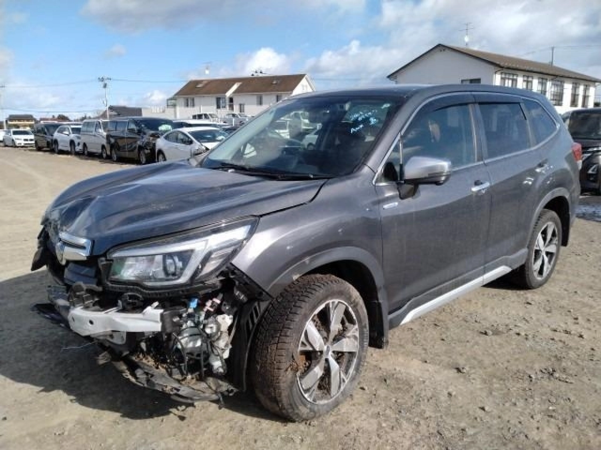 SUBARU FORESTER SKE 2019