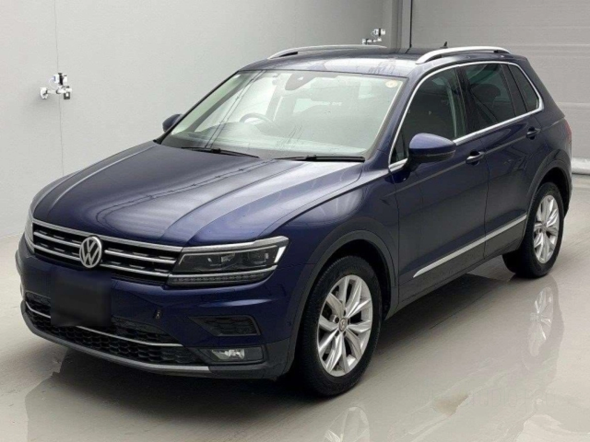 VOLKSWAGEN TIGUAN 5NDFGF 2019