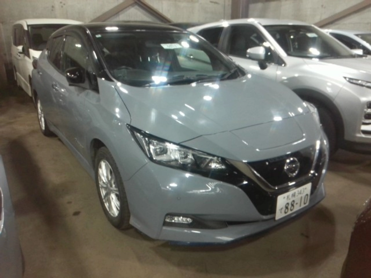 NISSAN LEAF ZE1 2020