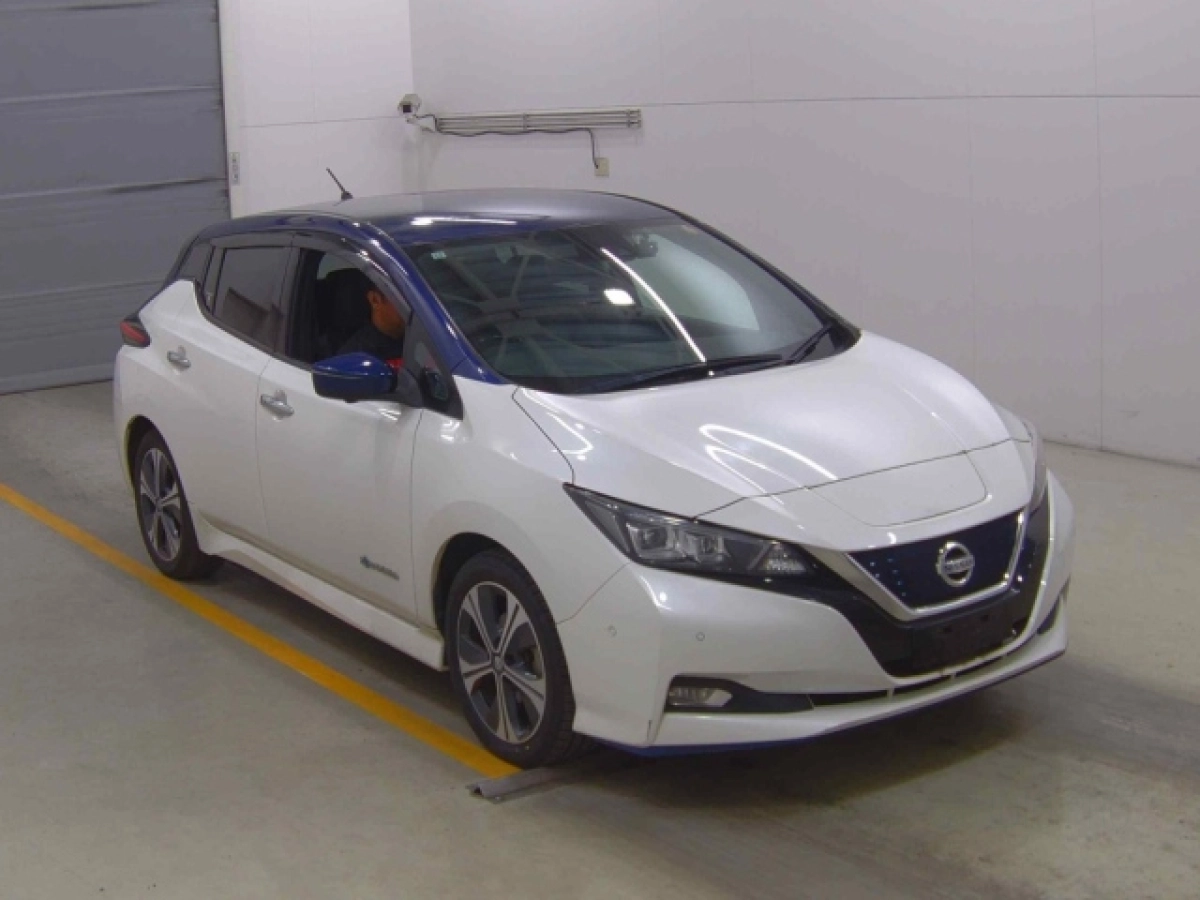 NISSAN LEAF ZE1 2019