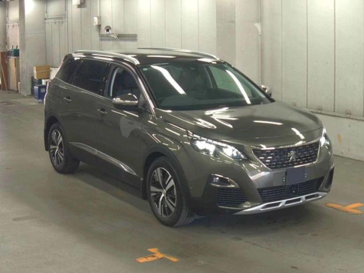 PEUGEOT 5008 P875G06 2019
