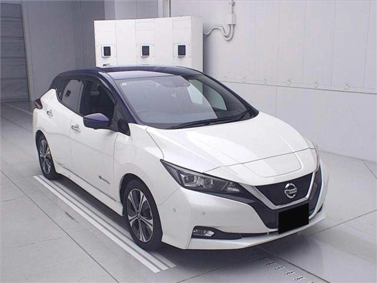 NISSAN LEAF ZE1 2019