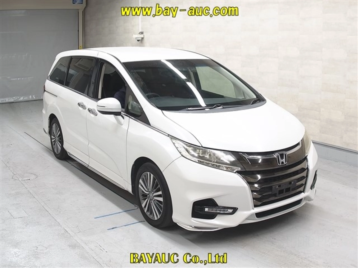 HONDA ODYSSEY RC1 2019