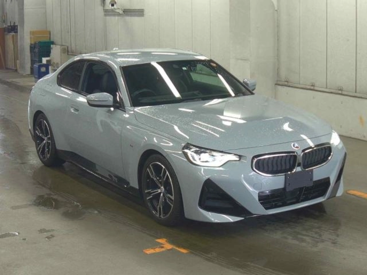 BMW 2 SERIES 12CM20 2023