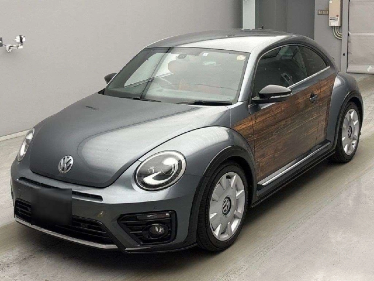 VOLKSWAGEN THE BEETLE 16CZD 2019
