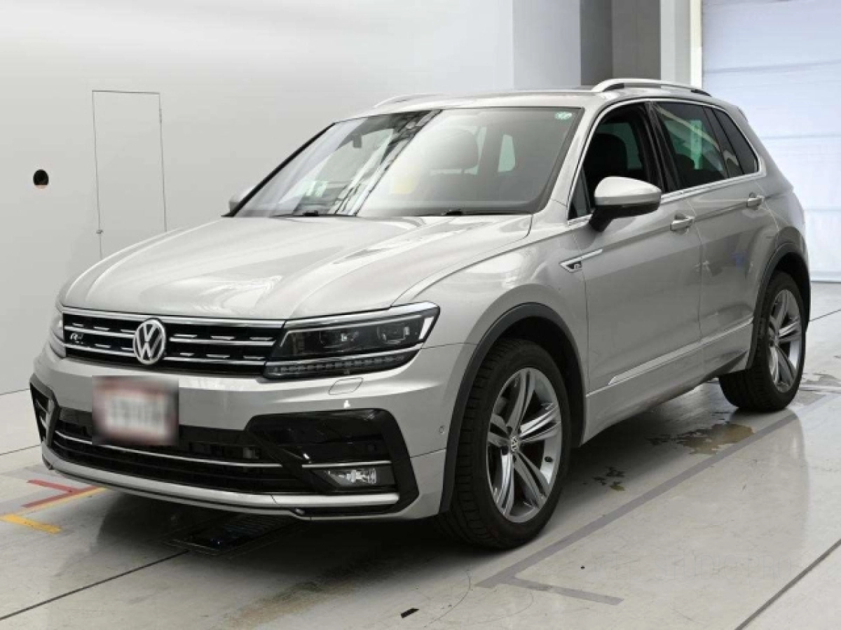 VOLKSWAGEN TIGUAN 5NDFGF 2019