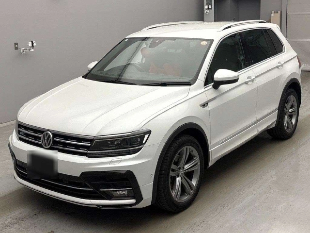 VOLKSWAGEN TIGUAN 5NDFGF 2019