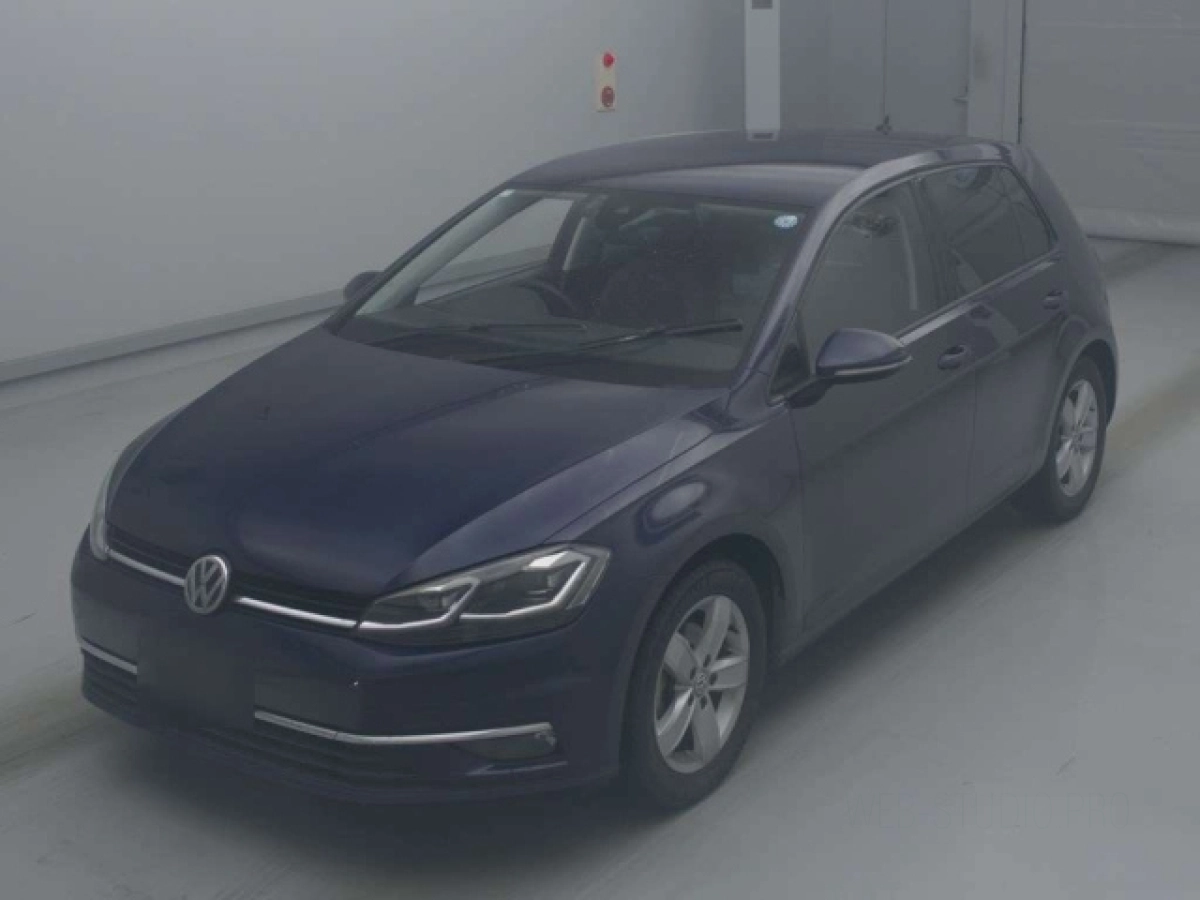 VOLKSWAGEN GOLF AUCPT 2019