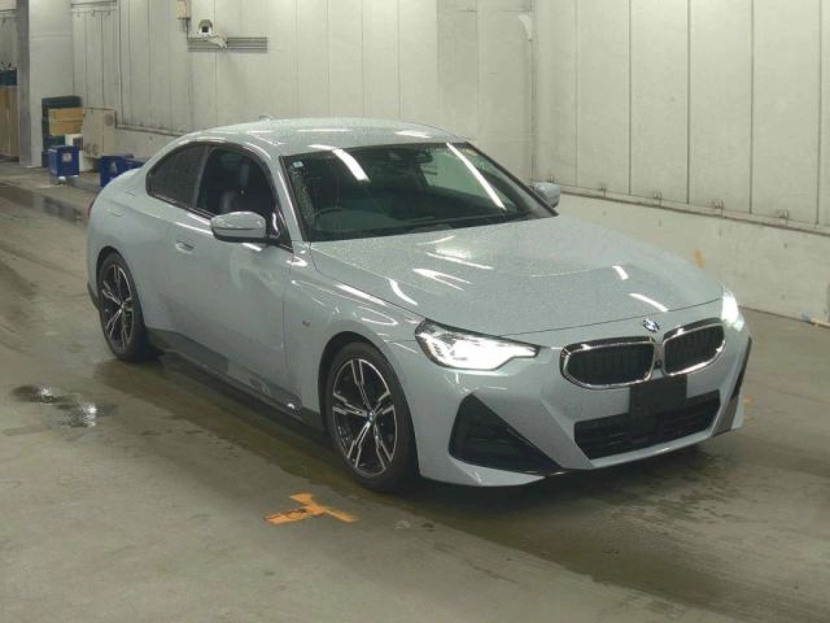 BMW 2 SERIES 12CM20 2022