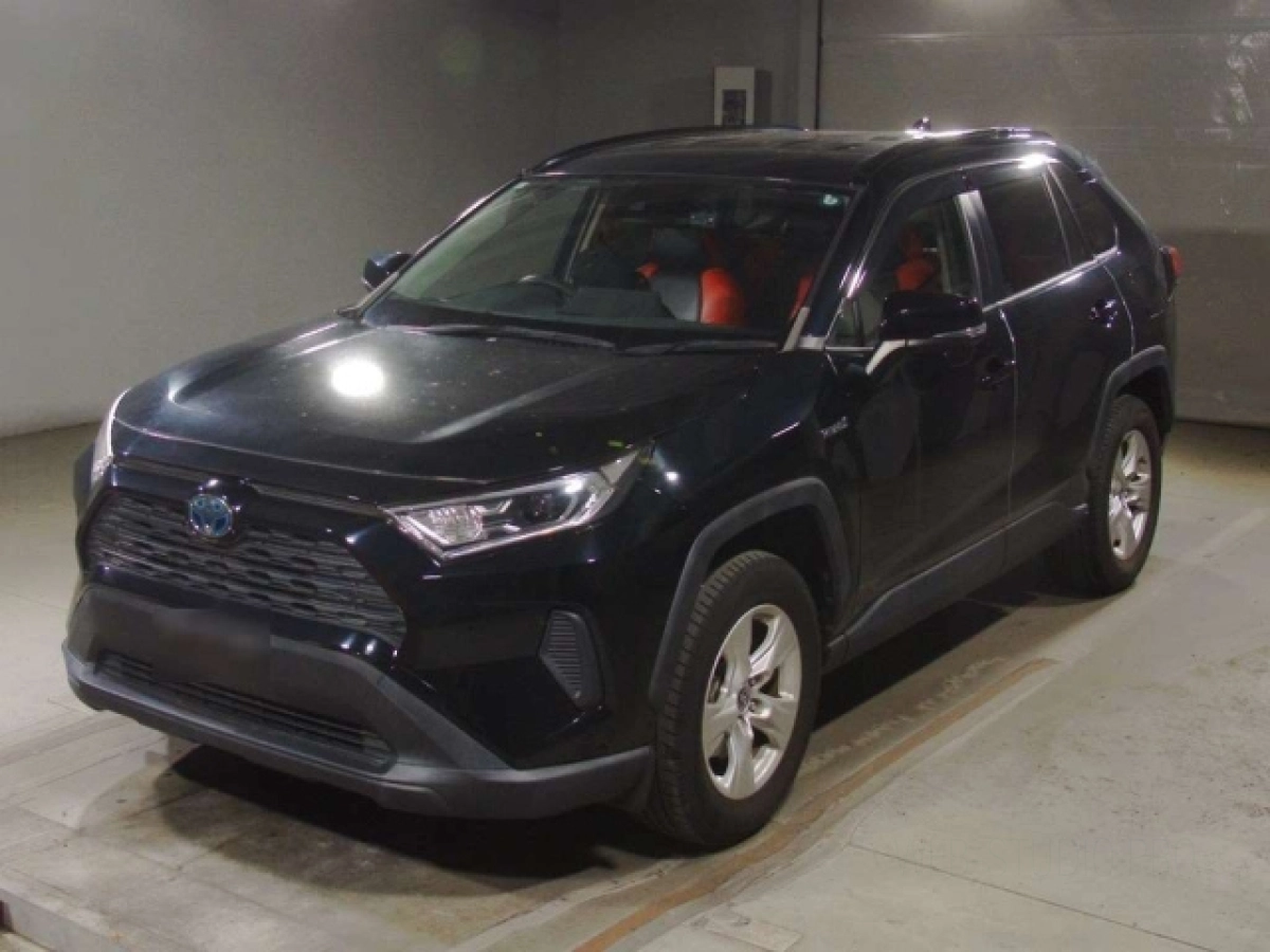 TOYOTA RAV4 AXAH52 2019