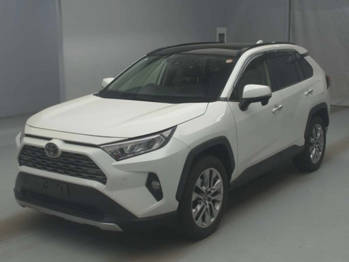 TOYOTA RAV4 MXAA54 2019