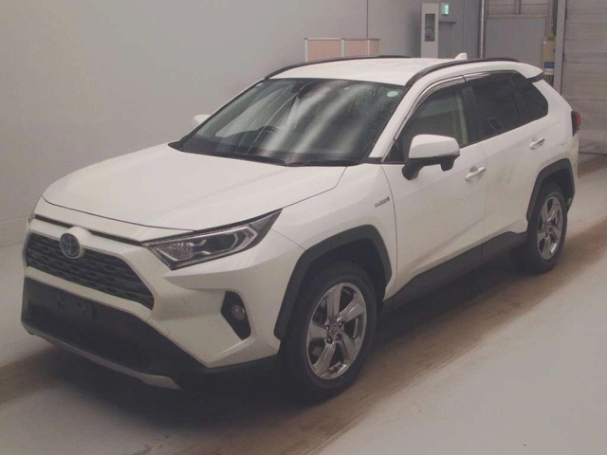 TOYOTA RAV4 AXAH54 2019