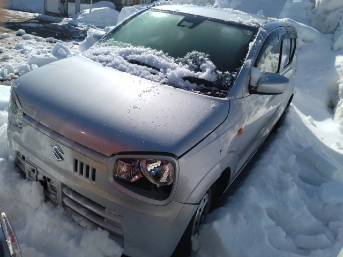 SUZUKI ALTO
