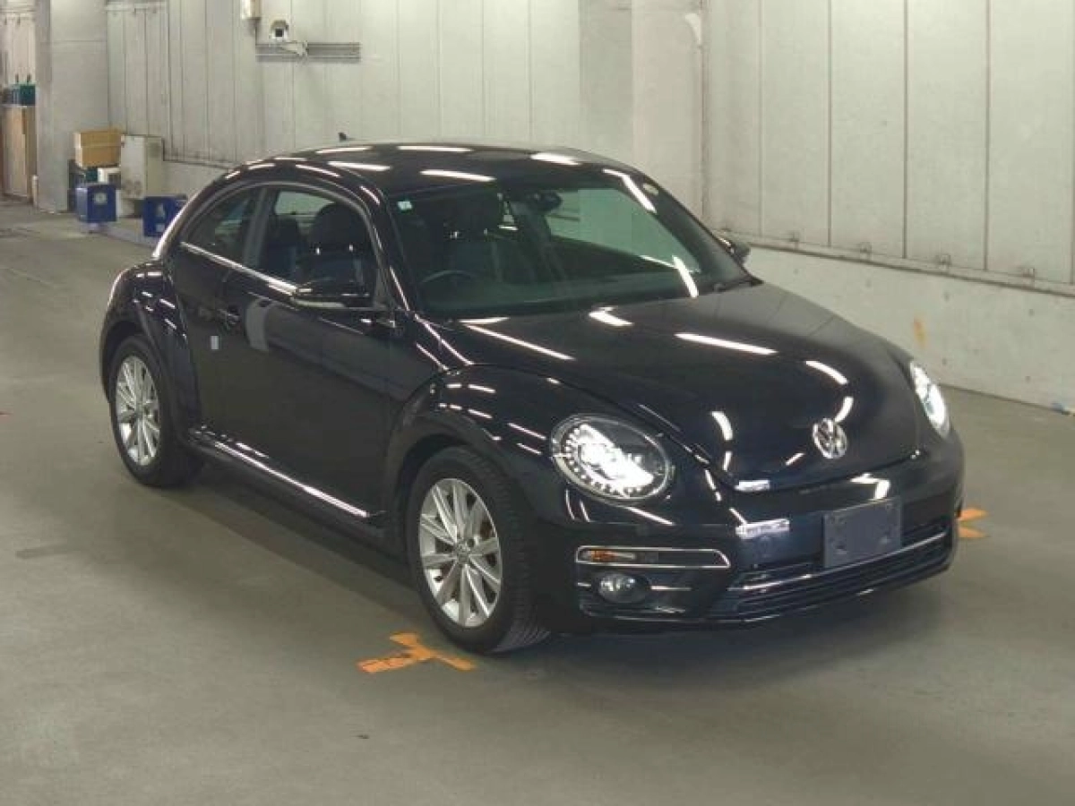 VOLKSWAGEN THE BEETLE