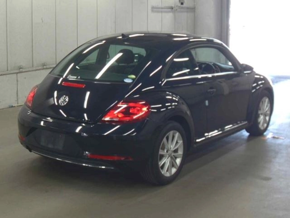VOLKSWAGEN THE BEETLE