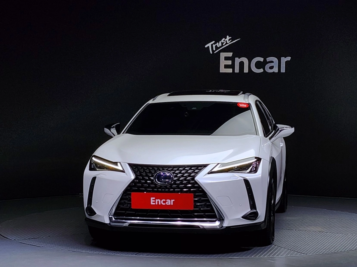 LEXUS UX250H
