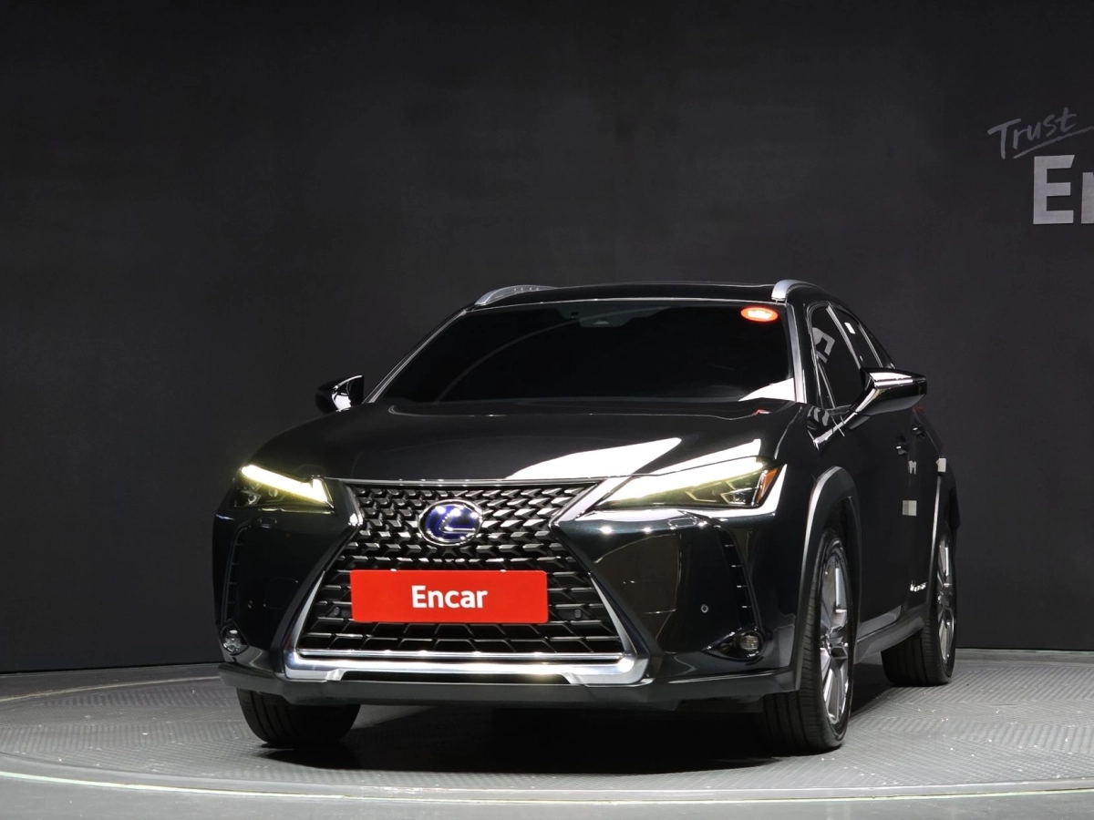 LEXUS UX300E