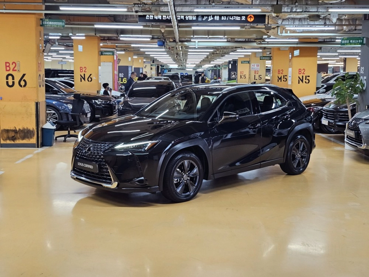 LEXUS UX300H