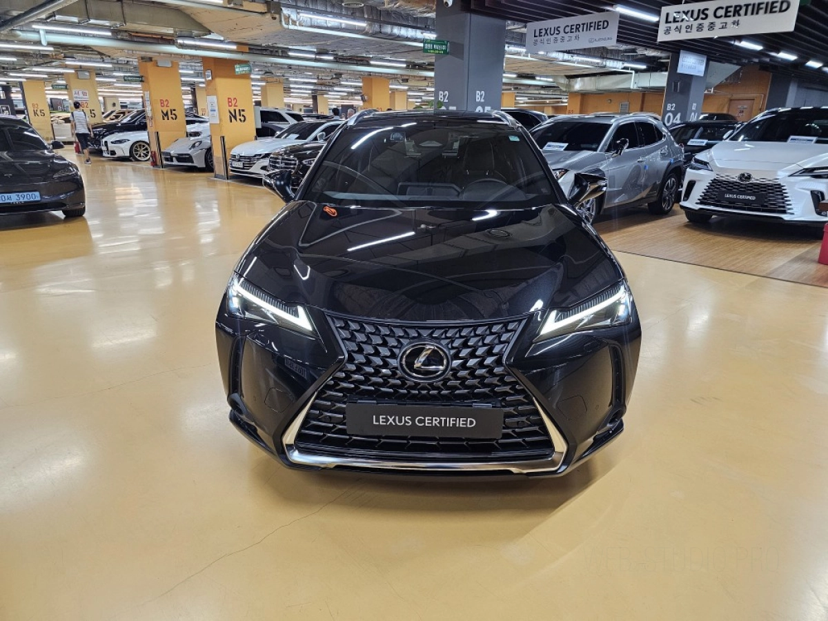 LEXUS UX300H