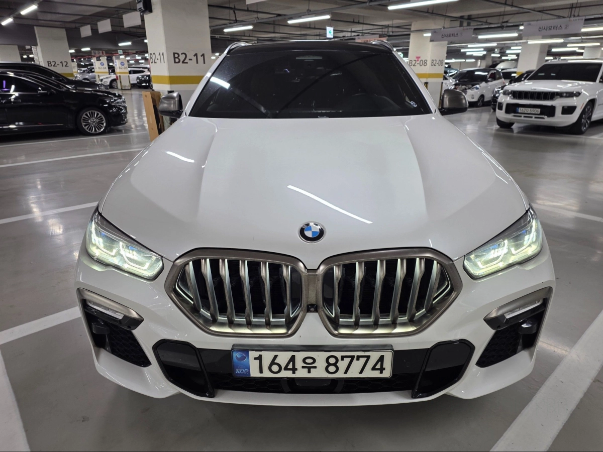 BMW X6 G06  2021