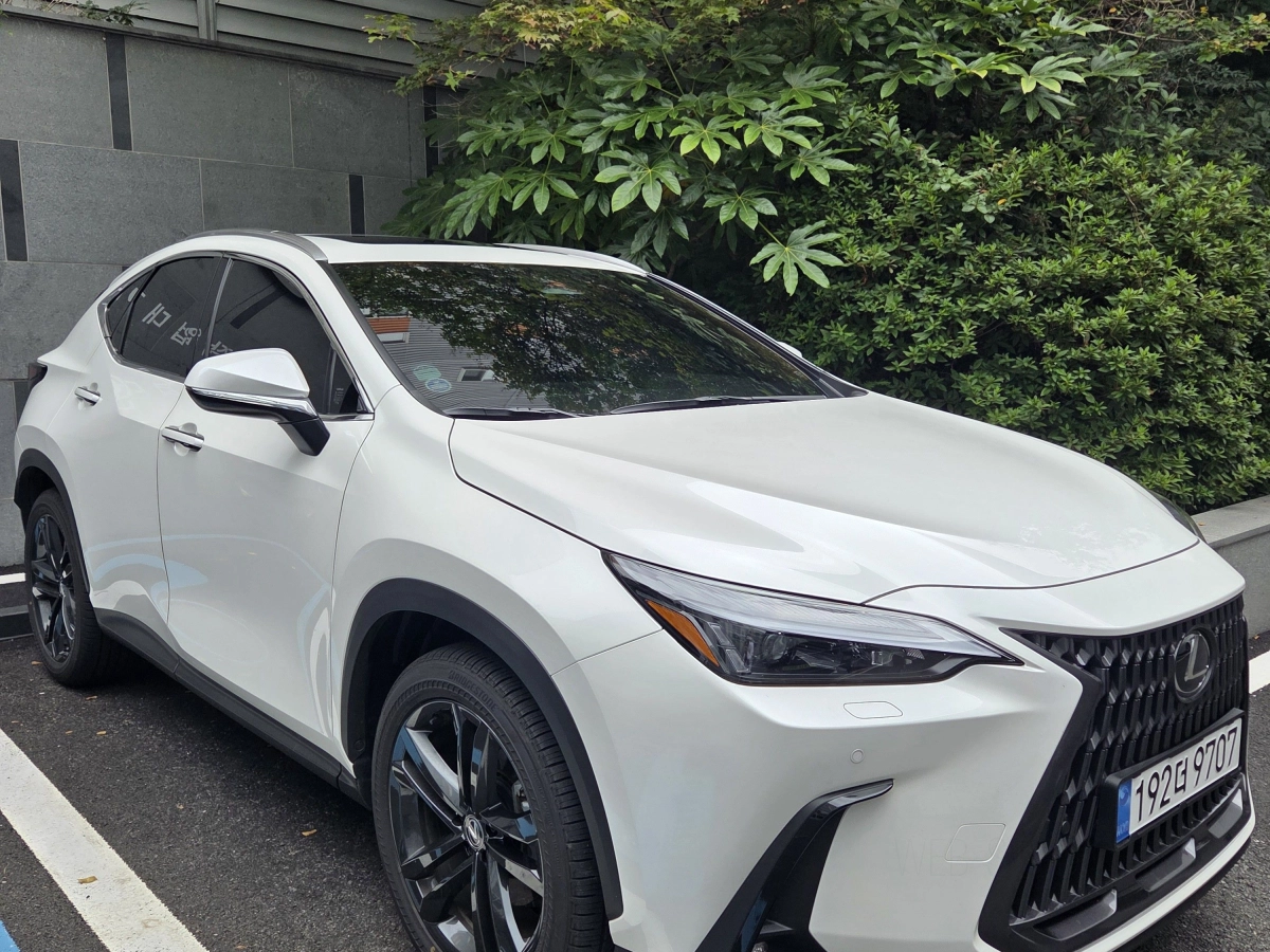 LEXUS NX350H
