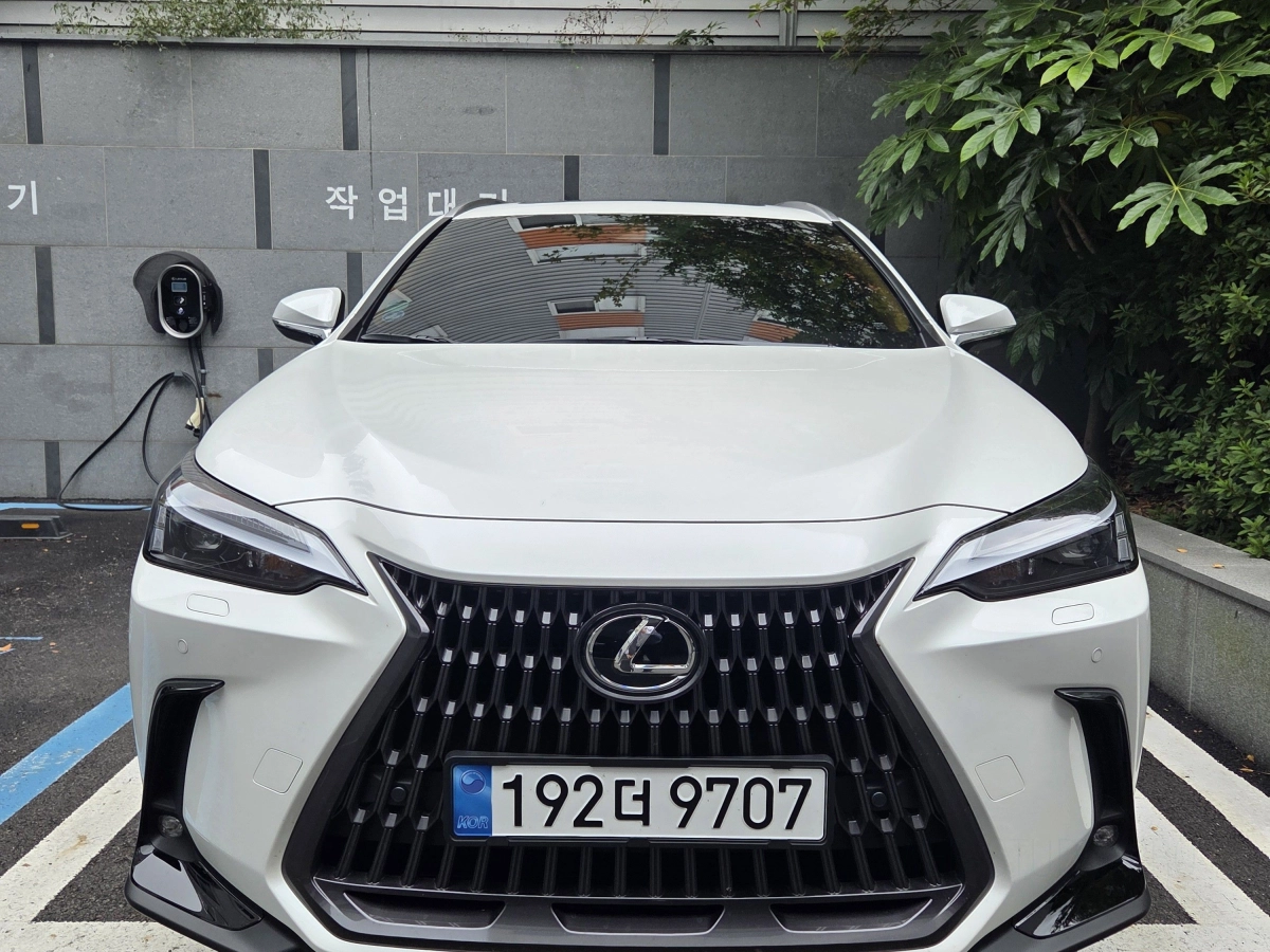 LEXUS NX350H