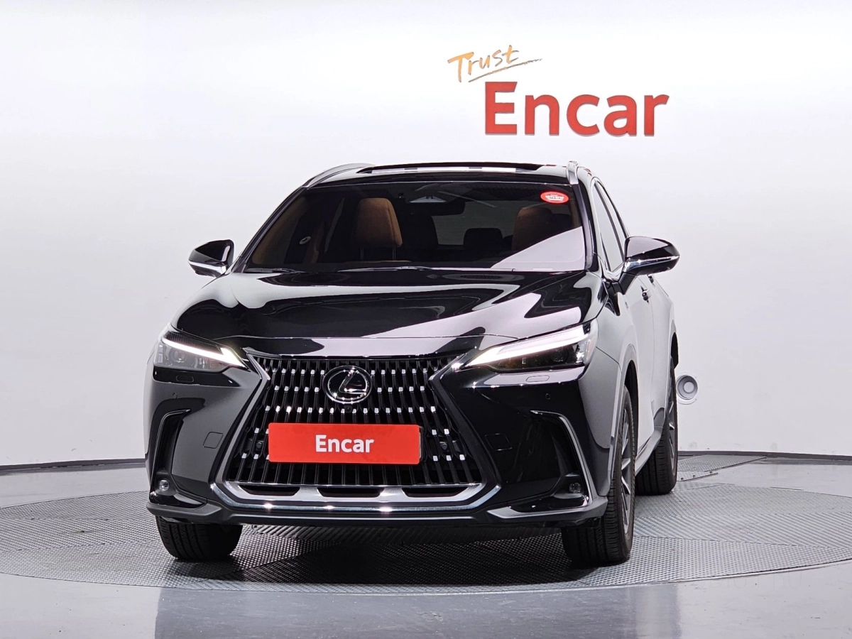 LEXUS NX450H+