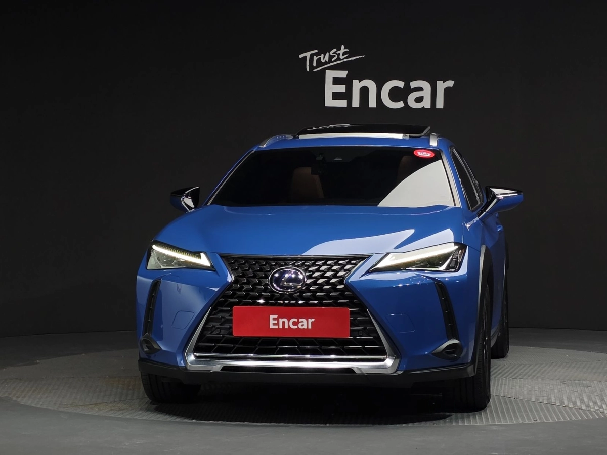 LEXUS UX250H