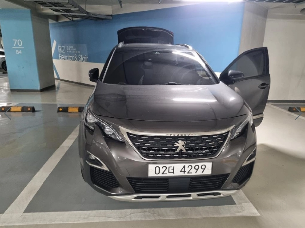 PEUGEOT 3008  2019