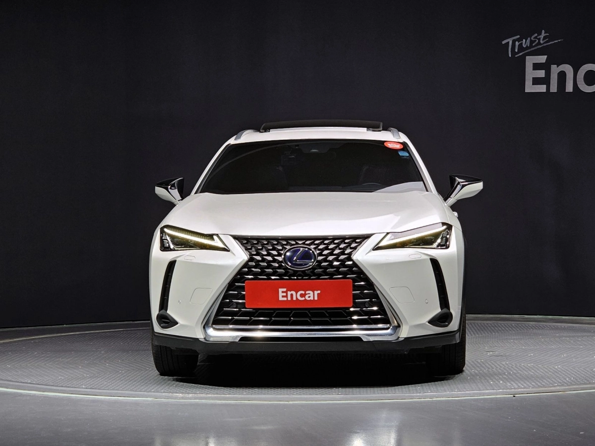 LEXUS UX250H