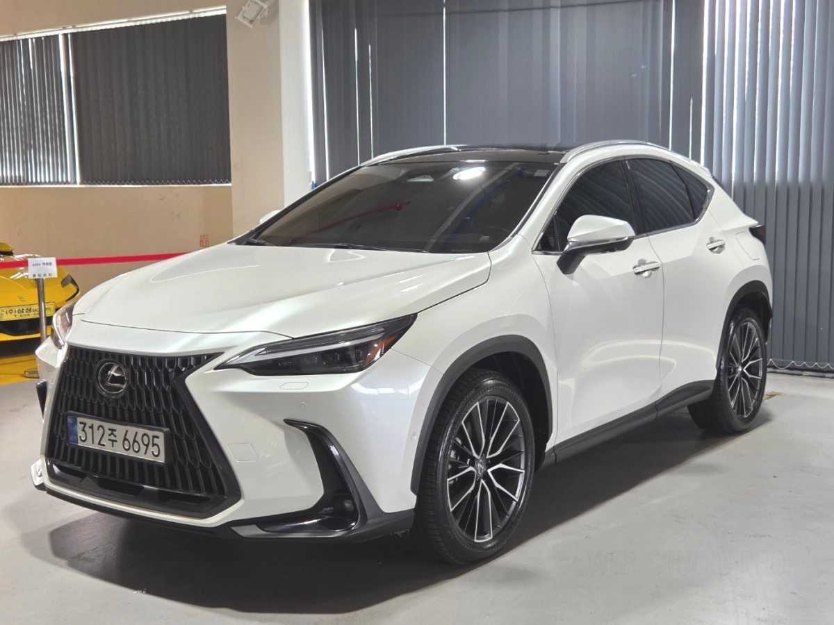 LEXUS NX350H  2023