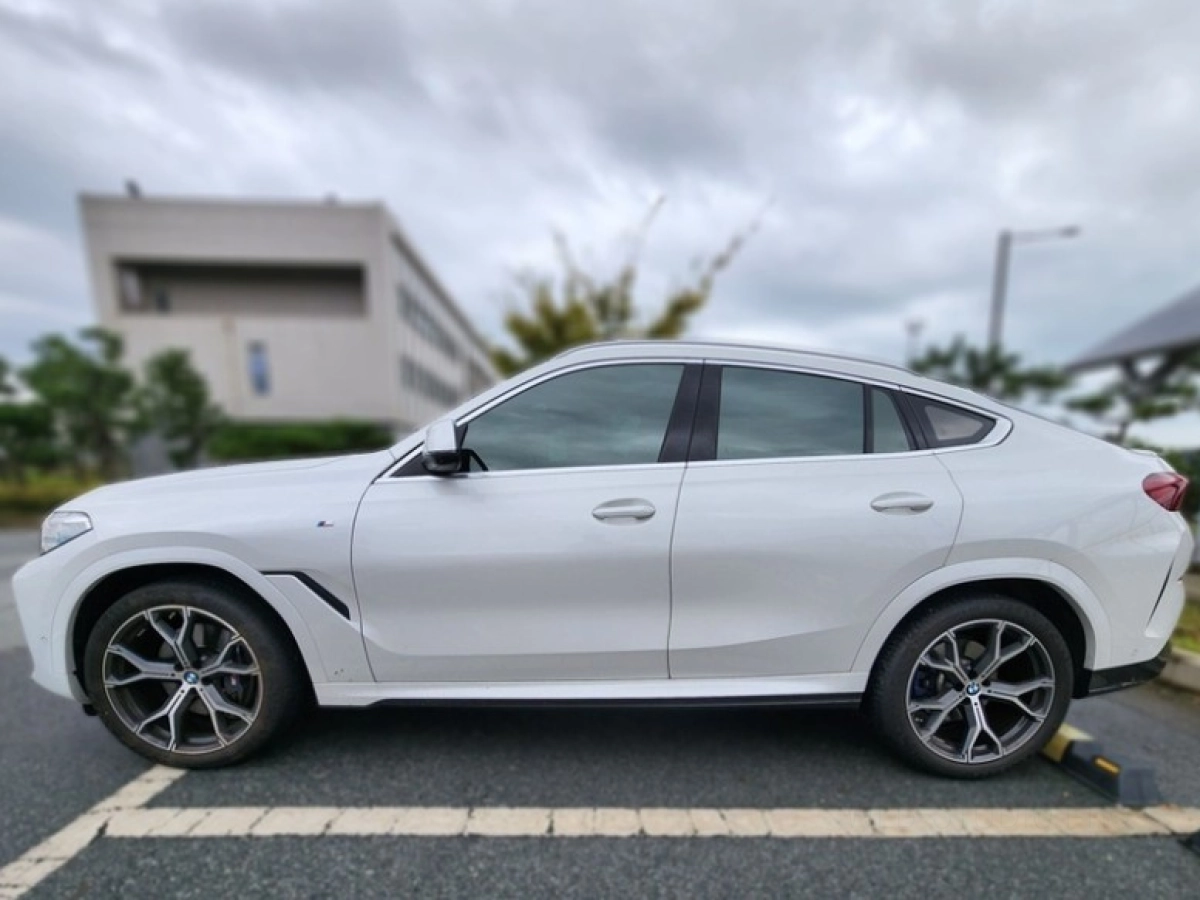 BMW X6 G06