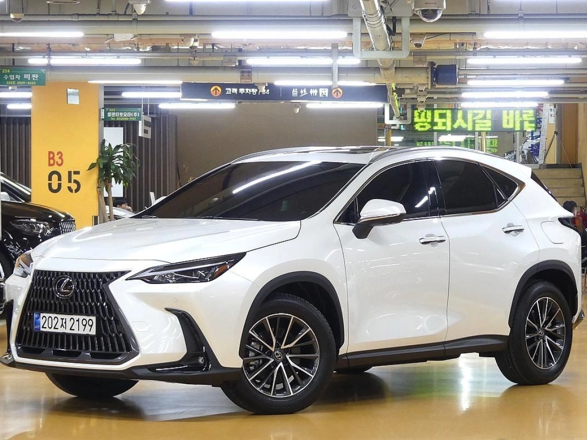 LEXUS NX450H+