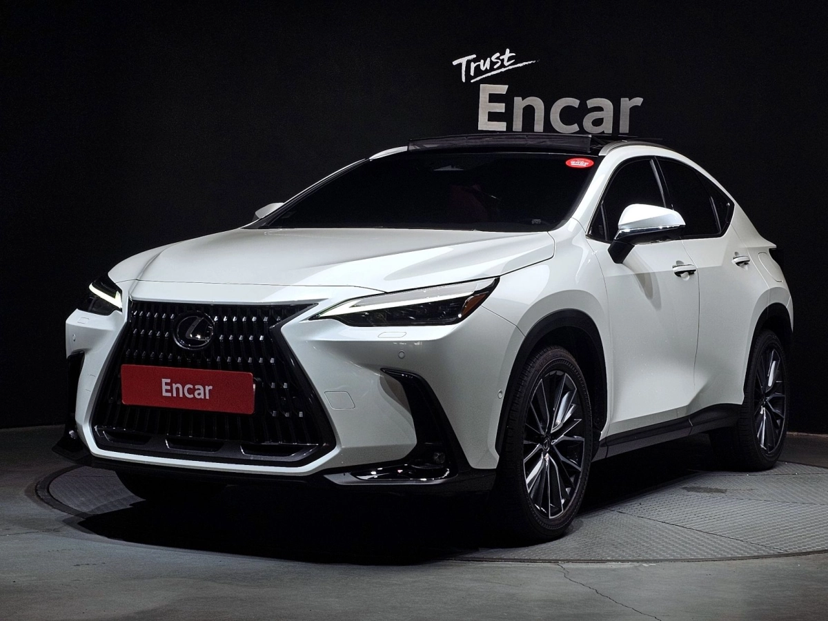 LEXUS NX350H  2024