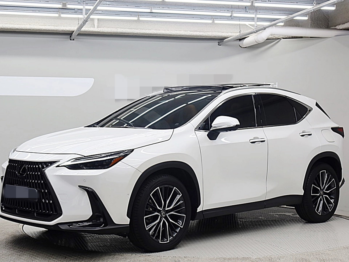 LEXUS NX350H  2024