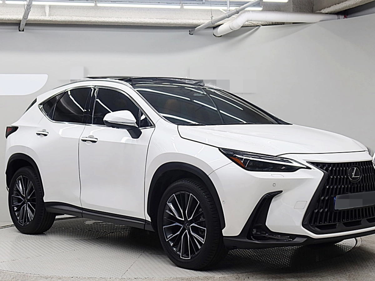 LEXUS NX350H