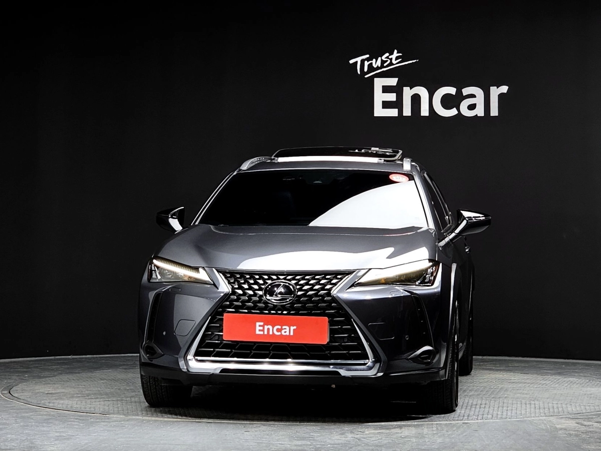LEXUS UX250H