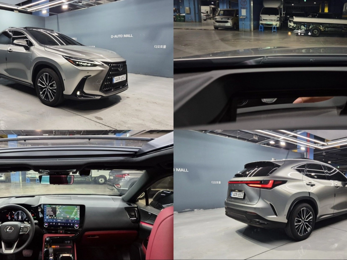 LEXUS NX350H  2024