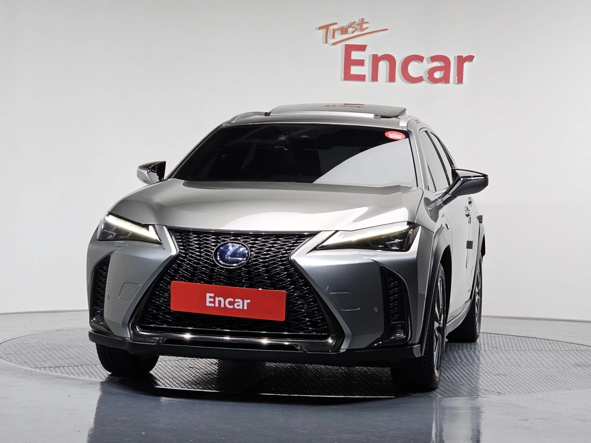 LEXUS UX250H