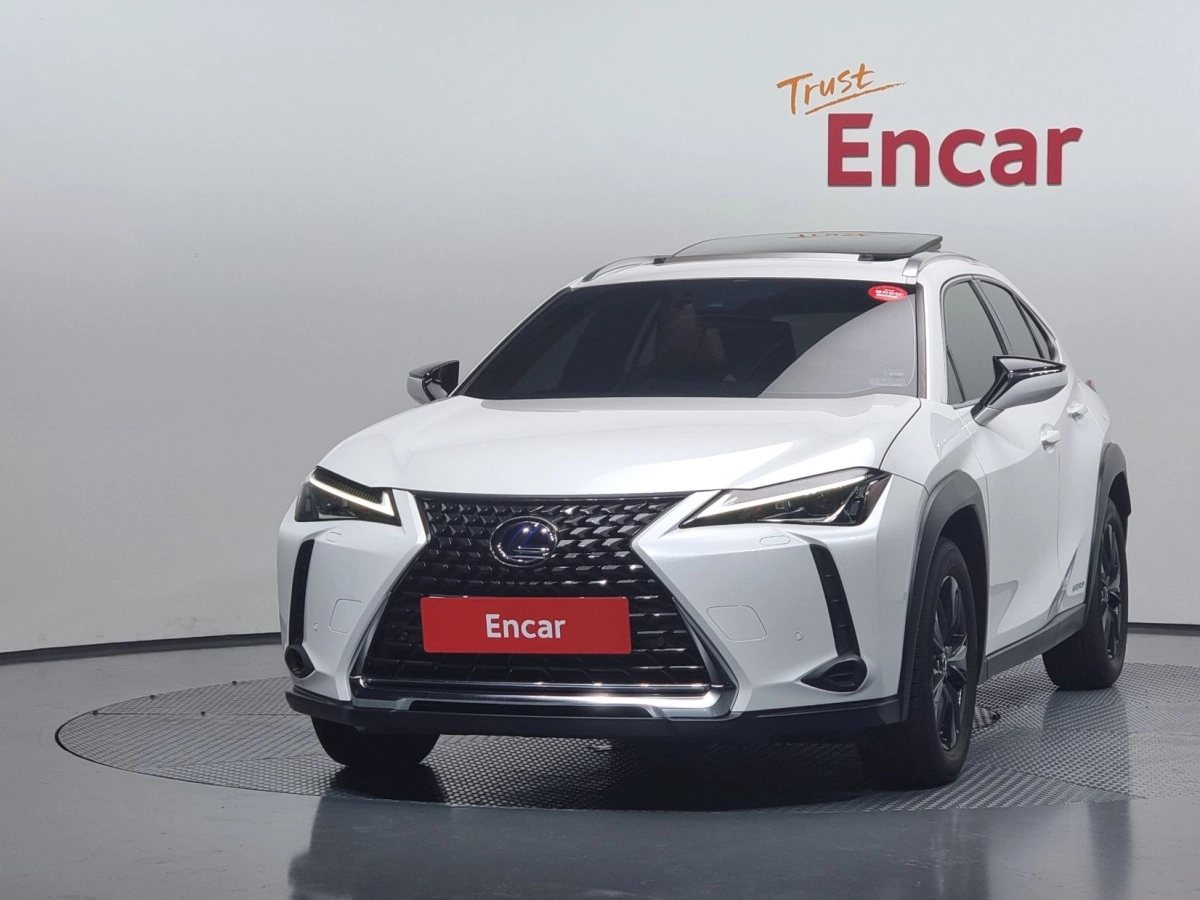 LEXUS UX250H