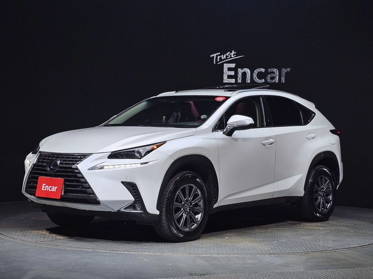 LEXUS NX300  2019