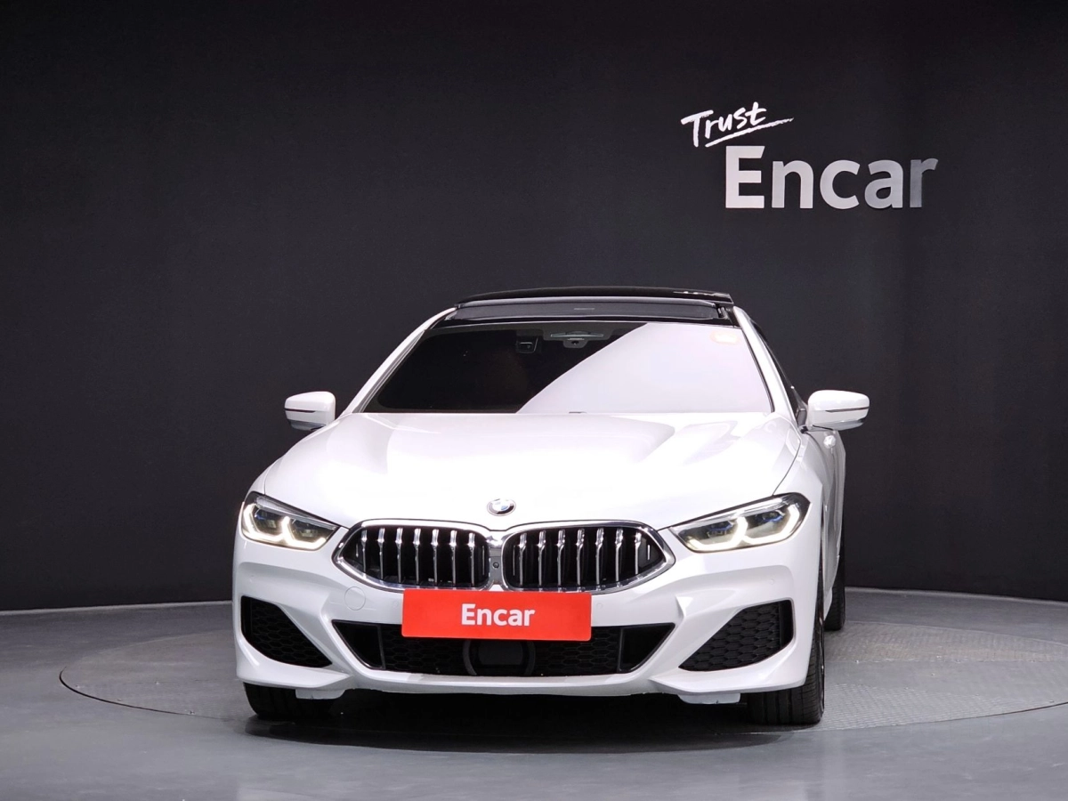BMW 8-SERIES G15