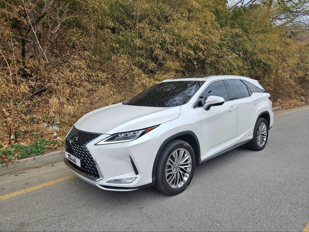 LEXUS RX450HL  2020
