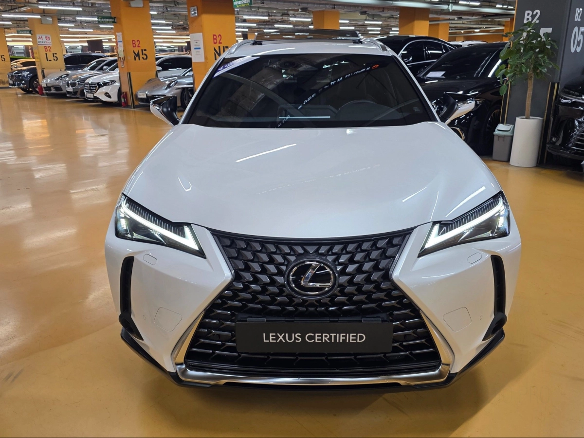 LEXUS UX300H