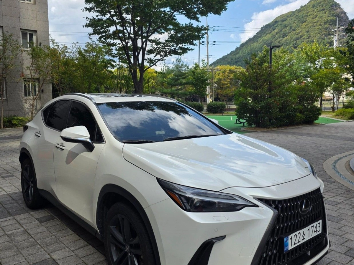 LEXUS NX350H