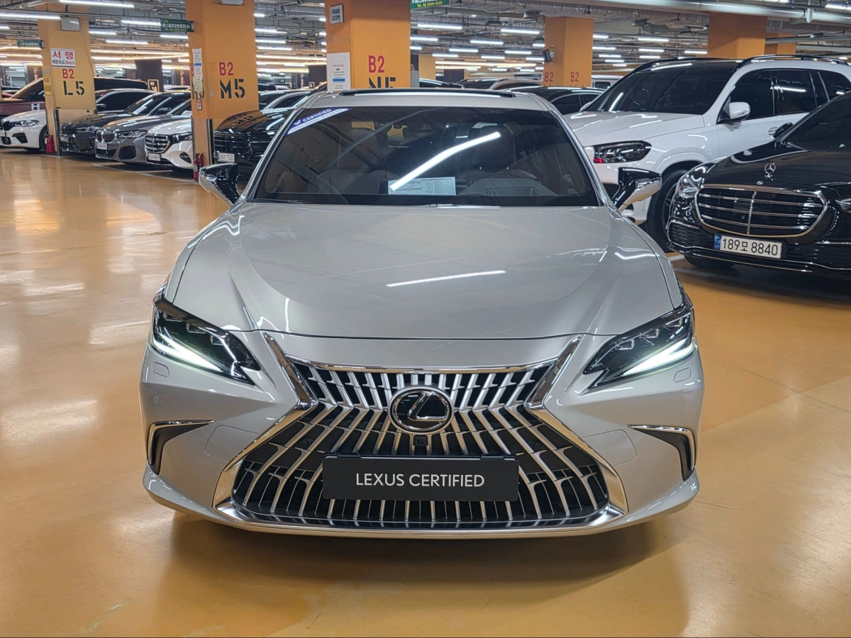 LEXUS ES300H