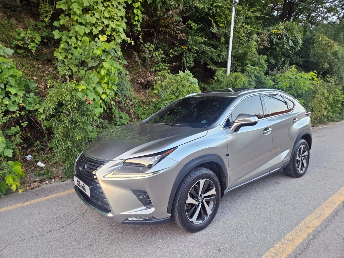 LEXUS NX300H