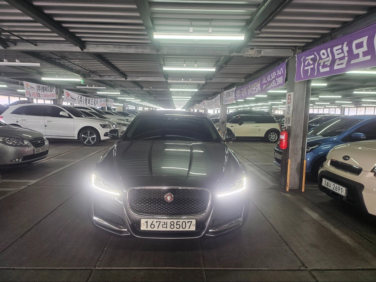 JAGUAR XF X260  2019