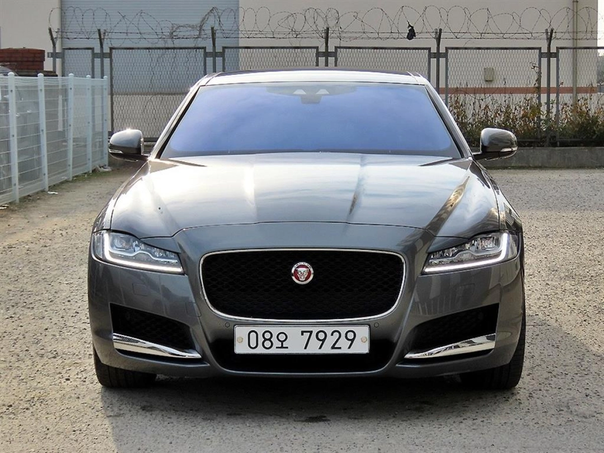 JAGUAR XF X260  2019